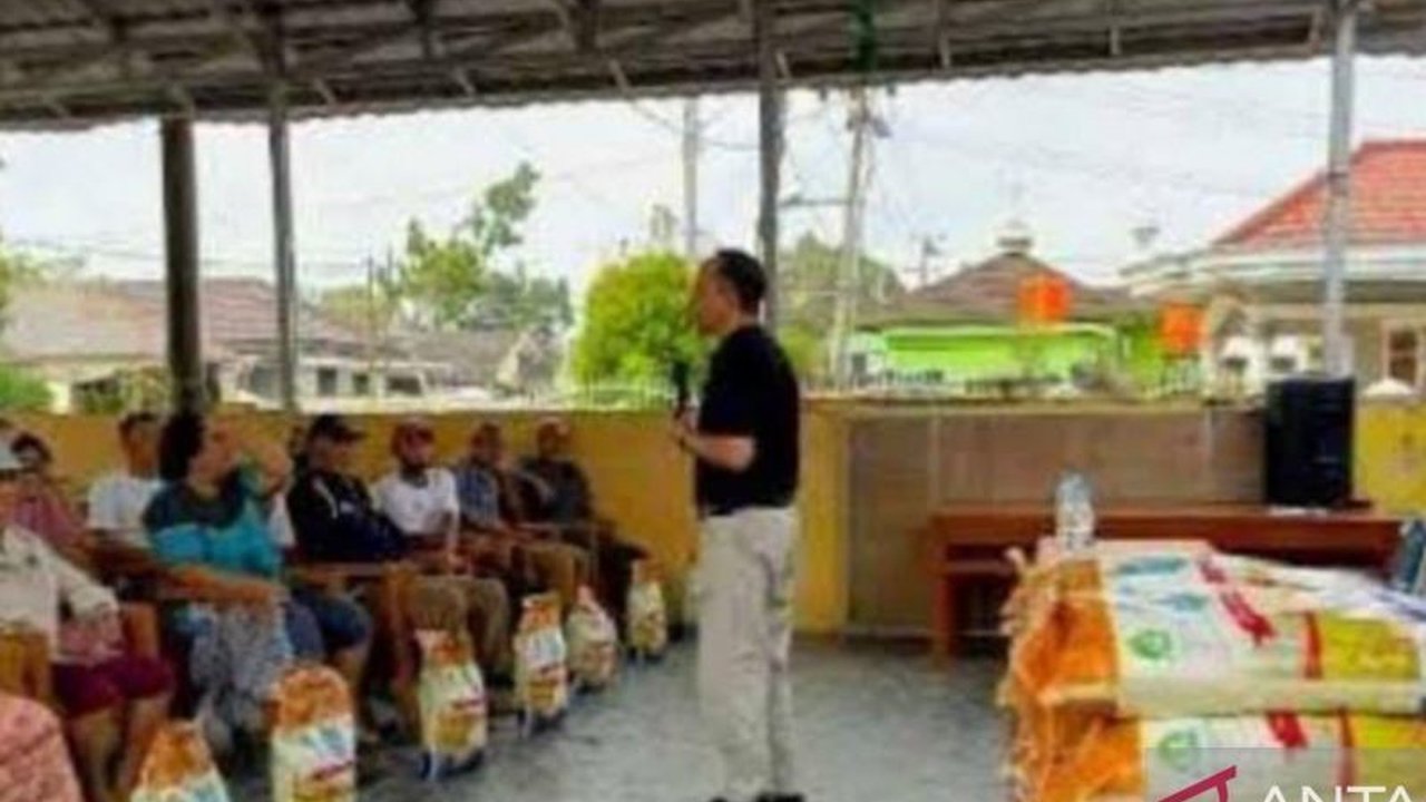 Dinas Sosial PMD Bangka Tengah mencatat 1.500 warga menerima manfaat Rastrada, program beras premium, namun terancam dihentikan pada 2025 karena efisiensi anggaran.