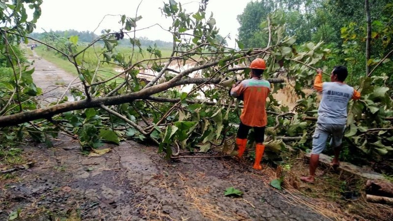 Bencana hidrometeorologi basah seperti tanah longsor dan angin kencang di beberapa wilayah Indonesia telah mengakibatkan korban jiwa dan kerusakan bangunan, BNPB mengimbau peningkatan kesiapsiagaan masyarakat.