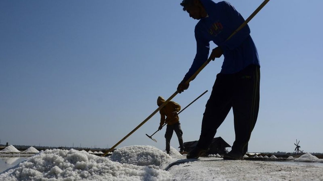 Sulawesi Selatan mampu memenuhi kebutuhan garam masyarakatnya bahkan surplus hingga 30.000 ton, berpotensi menjadi penyangga daerah lain seperti Kalimantan.