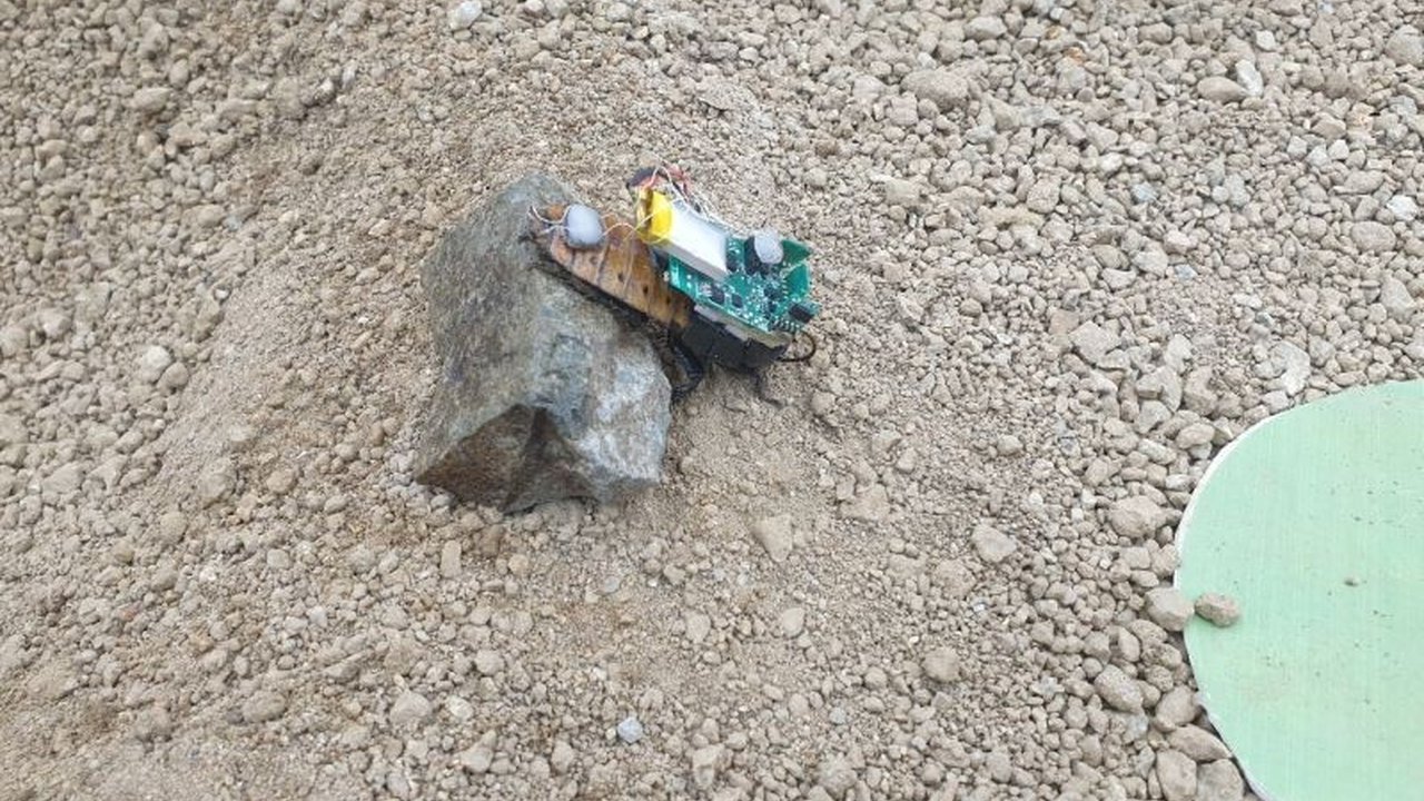 Peneliti Undip berkolaborasi dengan ilmuwan Jepang menciptakan robot serangga hybrid atau cyborg insects untuk misi pencarian dan penyelamatan korban bencana, menandai inovasi signifikan dalam teknologi robotika.