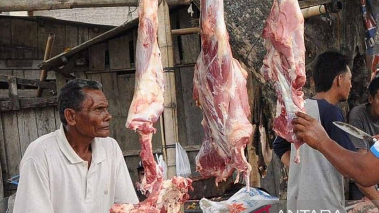 Aceh Timur memiliki stok 1.497 ekor ternak sapi dan kerbau untuk tradisi Meugang jelang Ramadan,  memadai untuk kebutuhan warga setempat, meskipun harga daging diperkirakan naik.