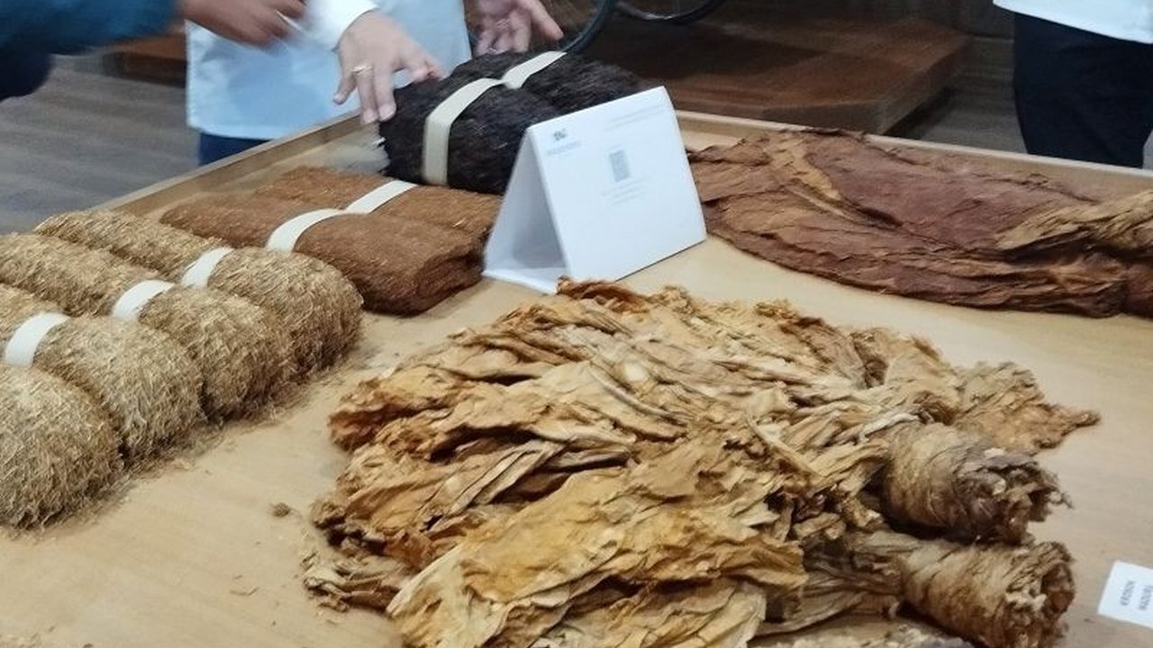 Pemerintah Kabupaten Demak memastikan program Bantuan Langsung Tunai (BLT) untuk petani tembakau dan buruh rokok tetap berjalan di tahun 2025, meskipun masih menunggu mekanisme penyaluran anggaran.