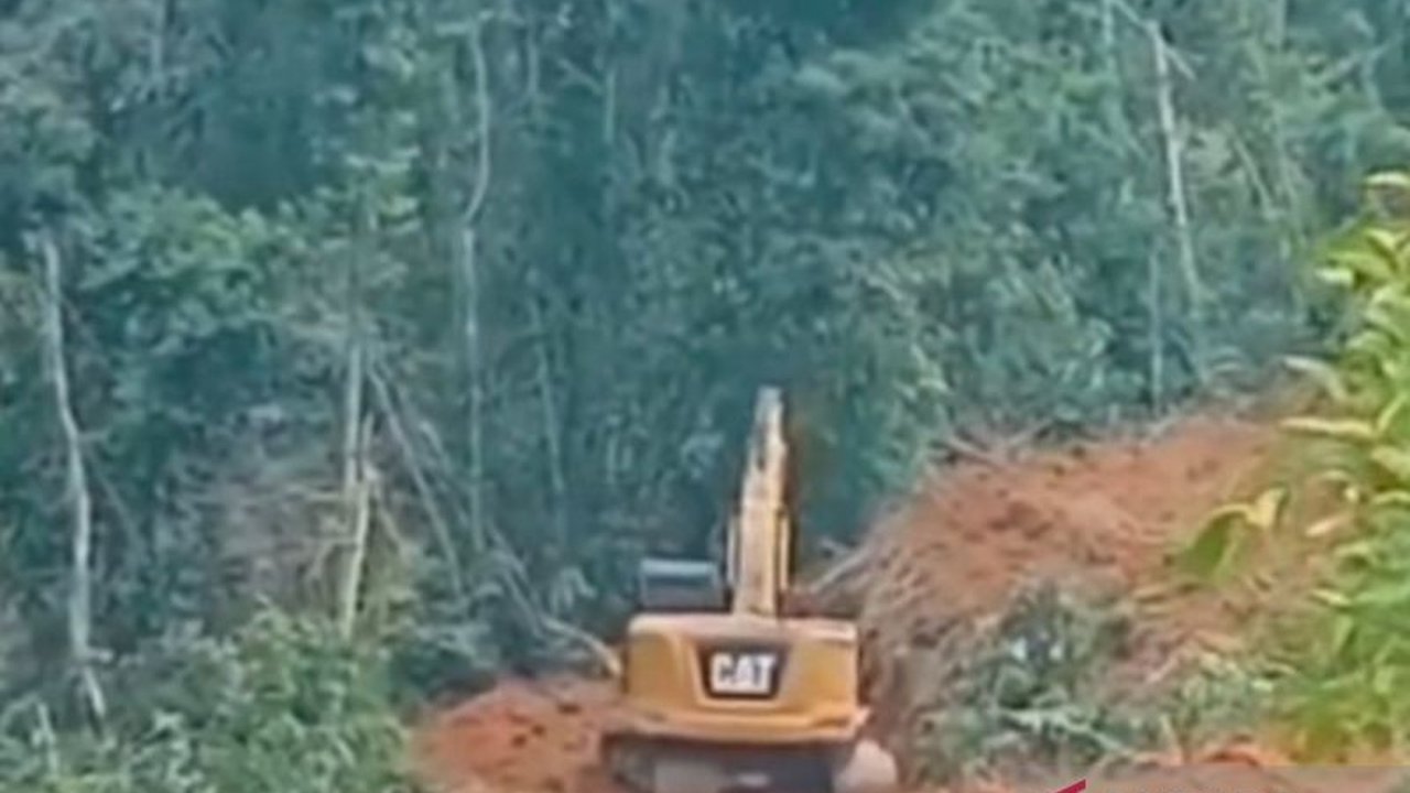 Kesatuan Pengelolaan Hutan (KPH) Mukomuko meminta petugasnya segera melaporkan kerusakan hutan akibat perambahan dan pihak-pihak yang terlibat, kendati terkendala komunikasi di lapangan.