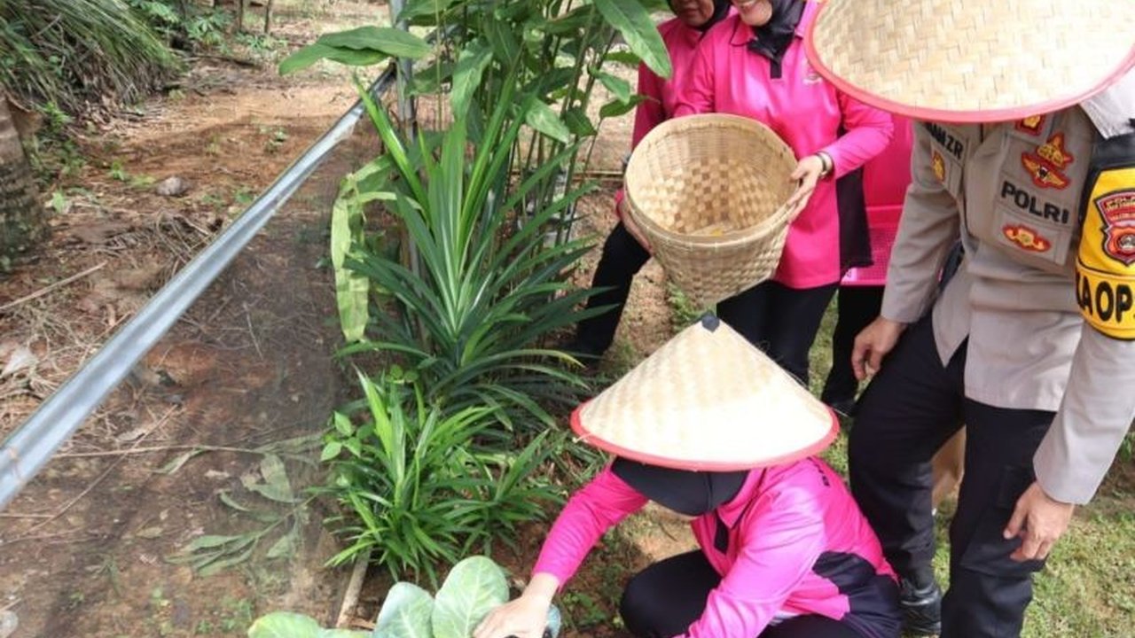 Polres OKU meluncurkan Program Pekarangan Pangan Lestari (P3L) untuk mendukung ketahanan pangan nasional dengan membudidayakan sayuran dan ikan di lahan Mapolres OKU, menginspirasi masyarakat untuk bercocok tanam.