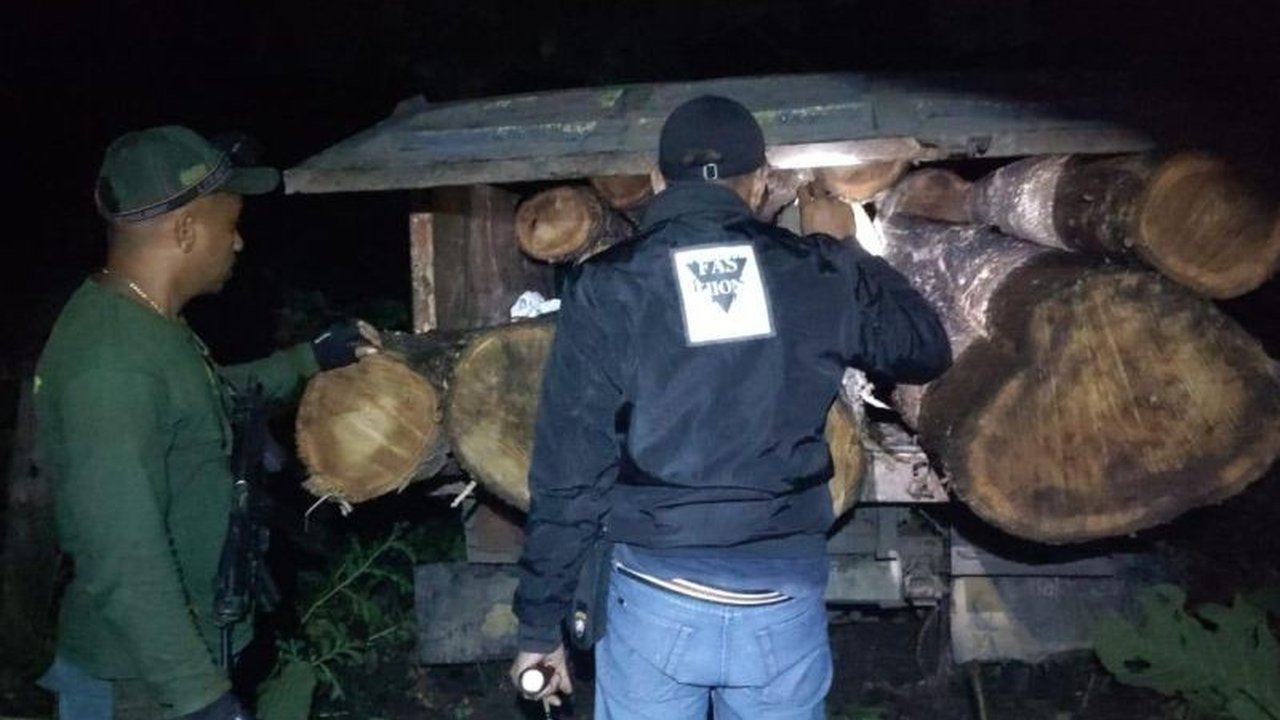 BBKSDA NTT telah meningkatkan kasus penebangan liar di Kabupaten Kupang ke tahap penyidikan, dengan enam tersangka ditangkap dan dugaan keterlibatan oknum aparat dalam upaya suap.