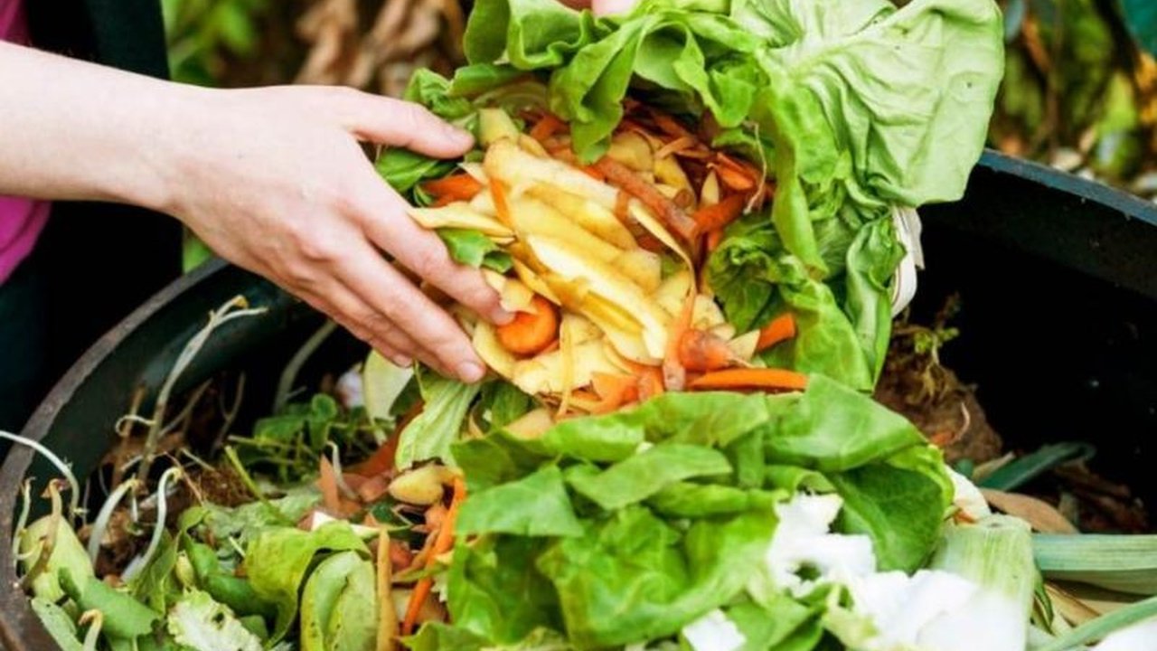 Indonesia Rugi Rp213 Triliun per Tahun Akibat Makanan Terbuang Sia-sia, Bagaimana Solusinya?