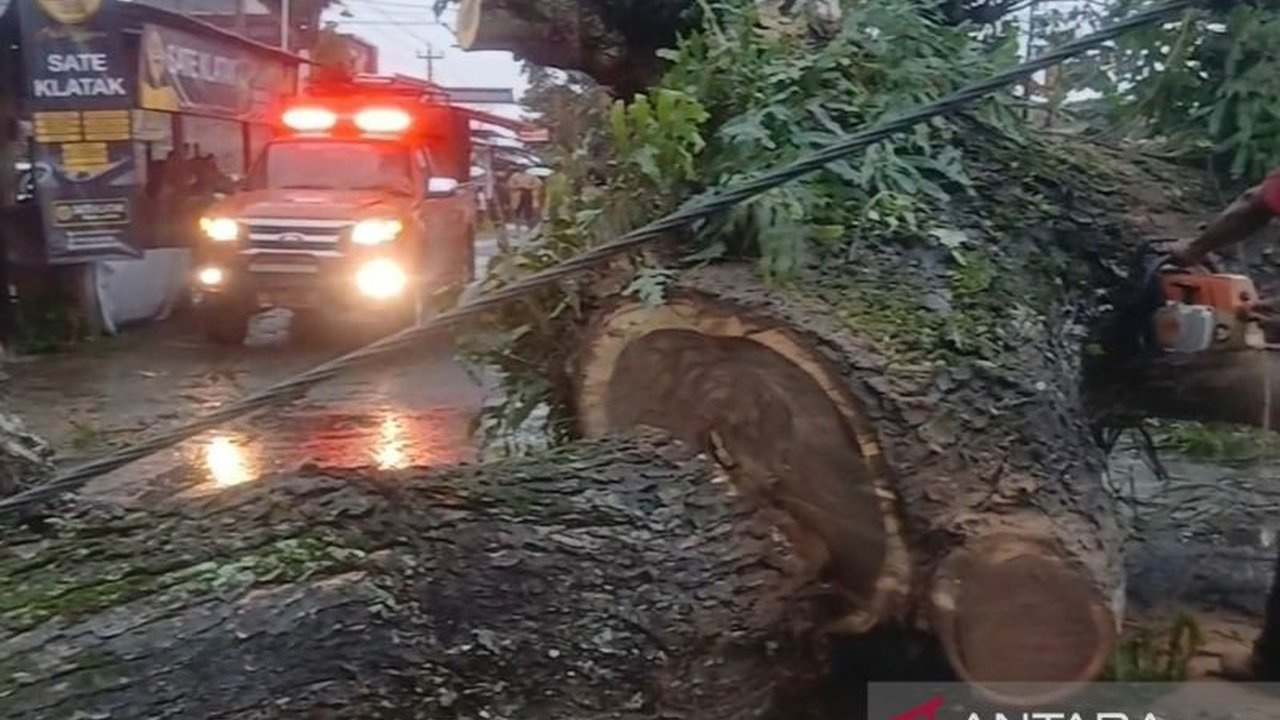 Badan Nasional Penanggulangan Bencana (BNPB) melaporkan angin kencang di Bantul, Yogyakarta mengakibatkan puluhan rumah rusak, 66 pohon tumbang, dan 13 ruas jalan terdampak.