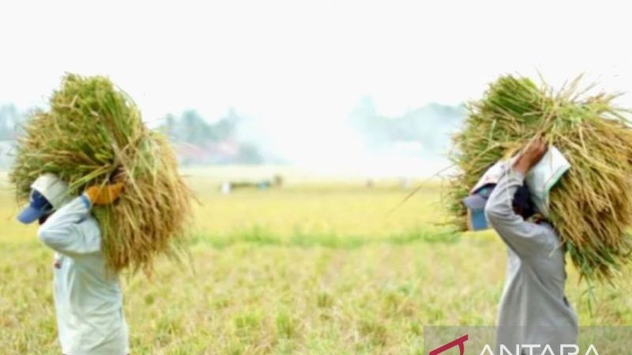 Komisi II DPRD Karawang mendesak Bulog untuk menyerap gabah langsung dari petani seharga Rp6.500 per kg sesuai HPP, dengan target serapan 75 ribu ton di Karawang dan Bekasi, namun realisasi masih minim.