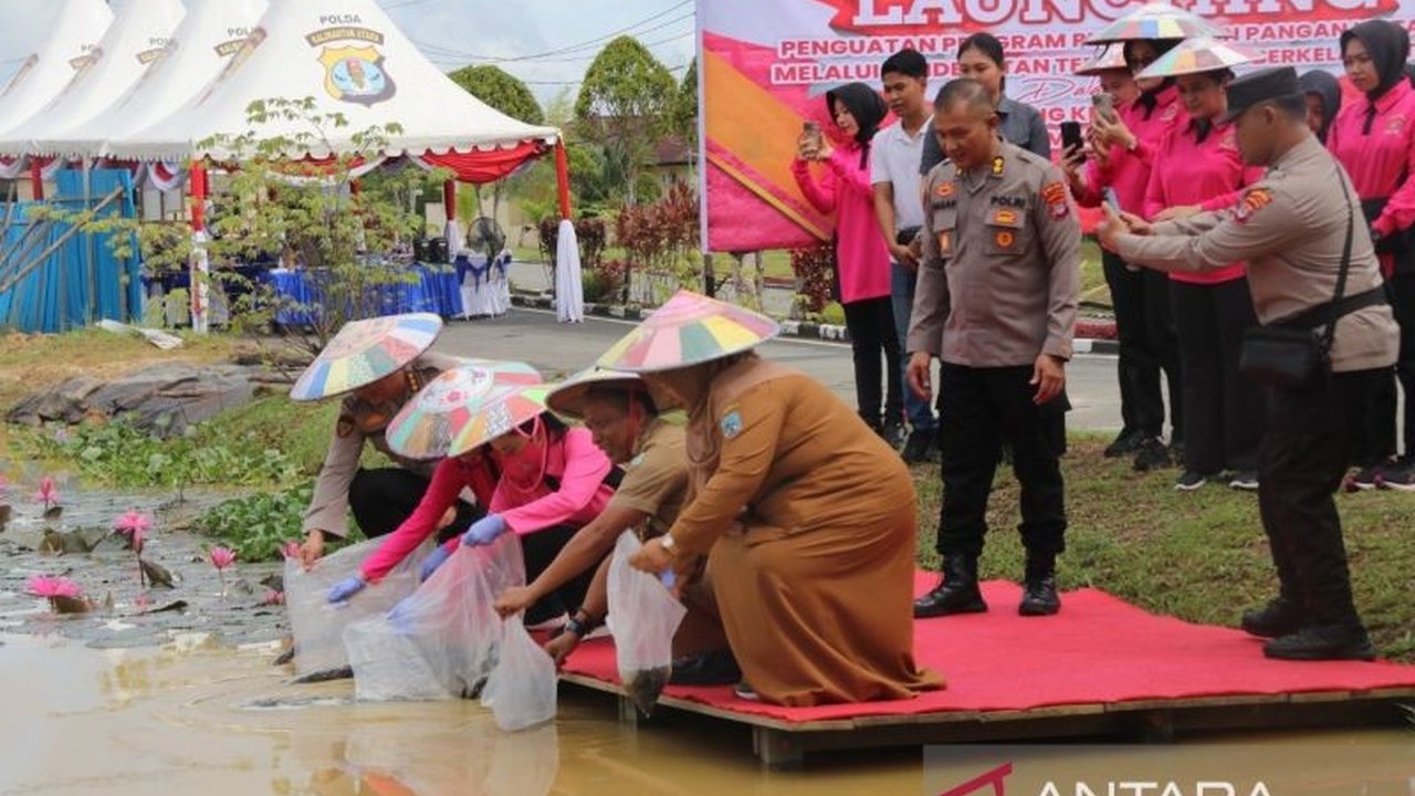 Bhayangkari Daerah Kaltara luncurkan program Pekarangan Pangan Lestari (P2L) dengan menebar 2000 bibit ikan lele dan panen sayur untuk mendukung ketahanan pangan nasional serta program pemerintah.