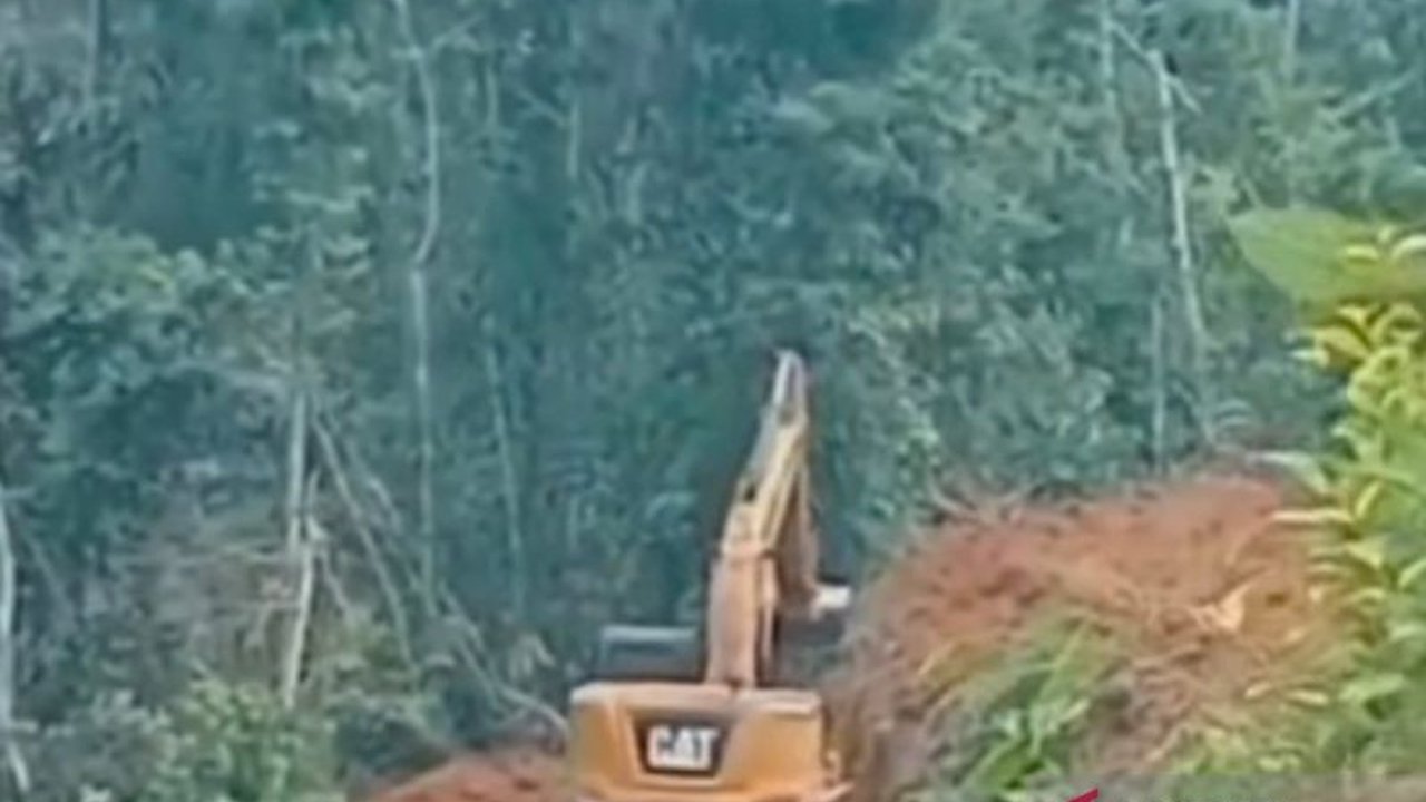 Kesatuan Pengelolaan Hutan (KPH) Mukomuko, Bengkulu, membantu polisi menyelidiki perambahan hutan untuk perkebunan sawit, meskipun belum ada laporan resmi terkait pelaku dan luas lahan yang dirambah.