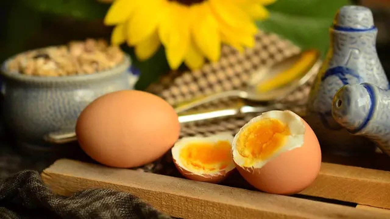 Ilustrasi telur setengah matang/copyright pixabay.com/congerdesign