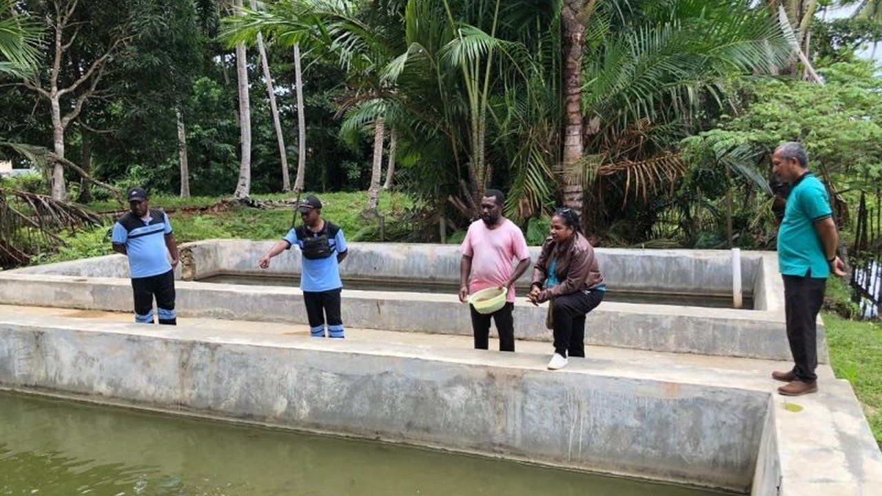 Pemerintah Kabupaten Kaimana, Papua Barat, memberikan pendampingan dan bantuan kepada kelompok budidaya ikan air tawar untuk meningkatkan produktivitas dan perekonomian masyarakat.