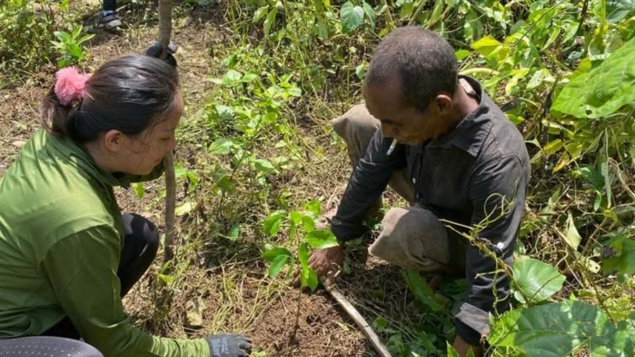 Badan Pelaksana Otorita Labuan Bajo Flores (BPOLBF) menunjukkan komitmen terhadap pelestarian lingkungan di Parapuar, Labuan Bajo, melalui penanaman ratusan pohon untuk mendukung pariwisata berkelanjutan.