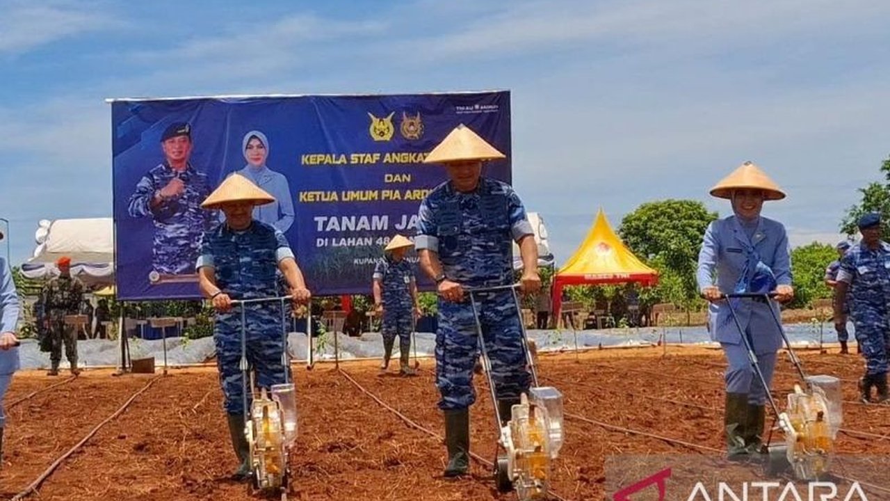 Kepala Staf Angkatan Udara (KSAU) Marsekal TNI Mohamad Tony Harjono tanam jagung di Lanud El Tari Kupang untuk dukung ketahanan pangan nasional.