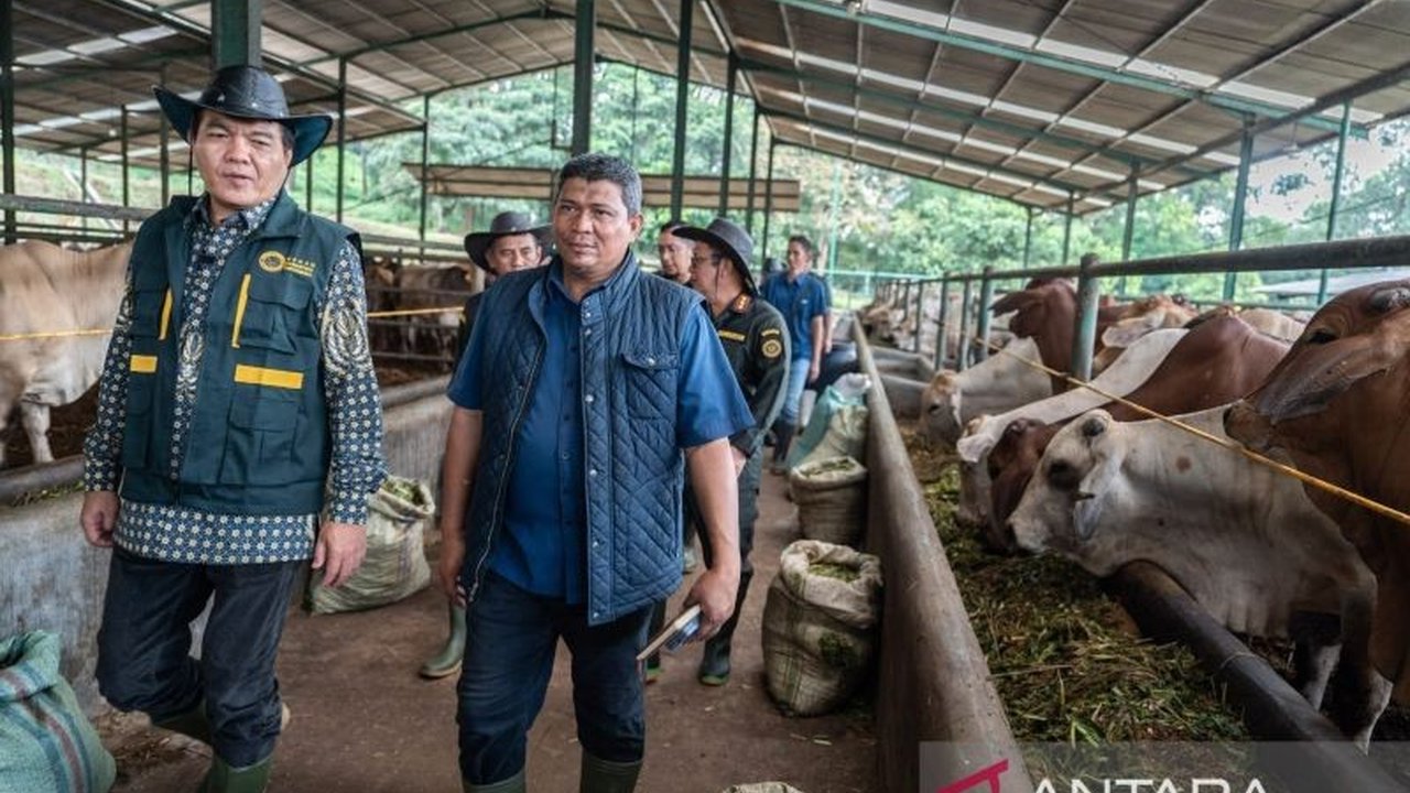 Badan Karantina Indonesia (Barantin) memastikan sapi impor Australia bebas penyakit menjelang Ramadhan setelah melalui karantina ketat selama 14 hari dan pemeriksaan kesehatan menyeluruh.