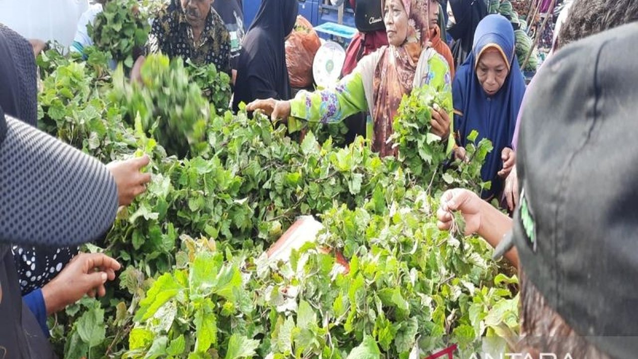 Pemerintah Kabupaten Bombana, Sulawesi Tenggara, mendorong pengembangan budidaya tanaman nilam untuk meningkatkan perekonomian masyarakat, kendati masih terkendala alat penyulingan.