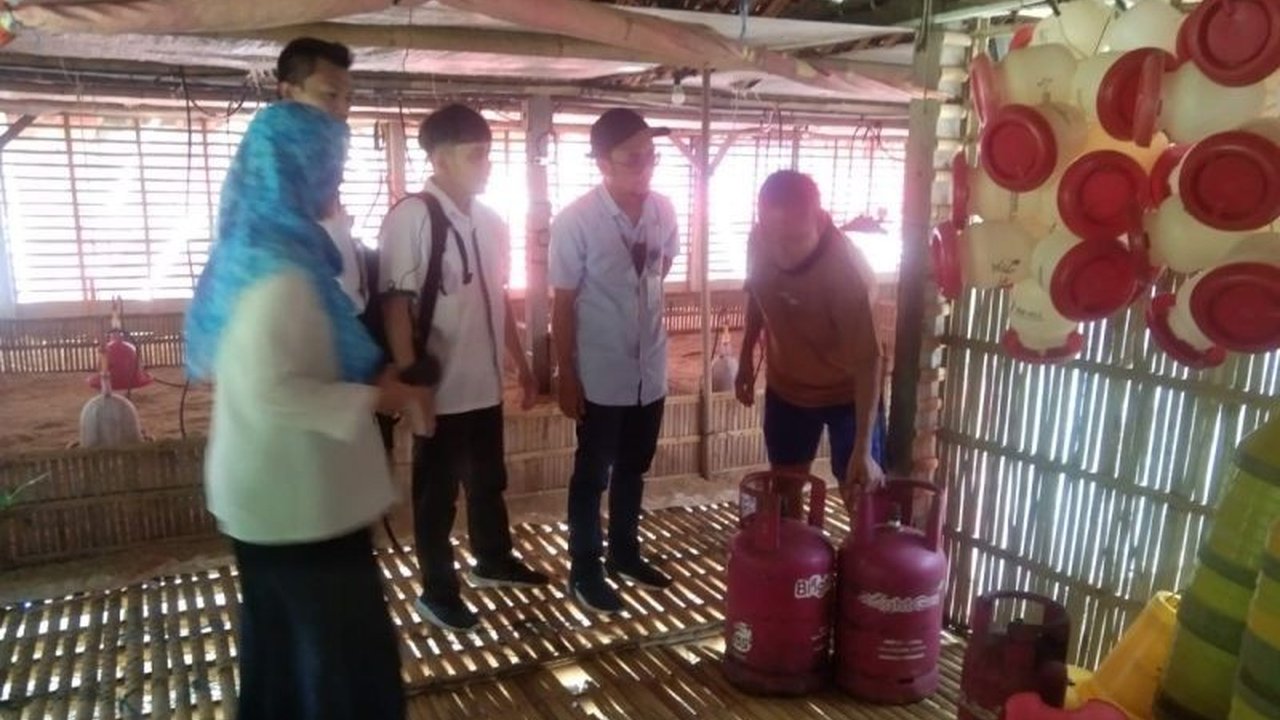 Pemerintah Kabupaten Kulon Progo memastikan ketersediaan LPG bersubsidi aman hingga Ramadhan 2025, meskipun ada kendala distribusi dan beberapa pengecer menjual di atas HET.