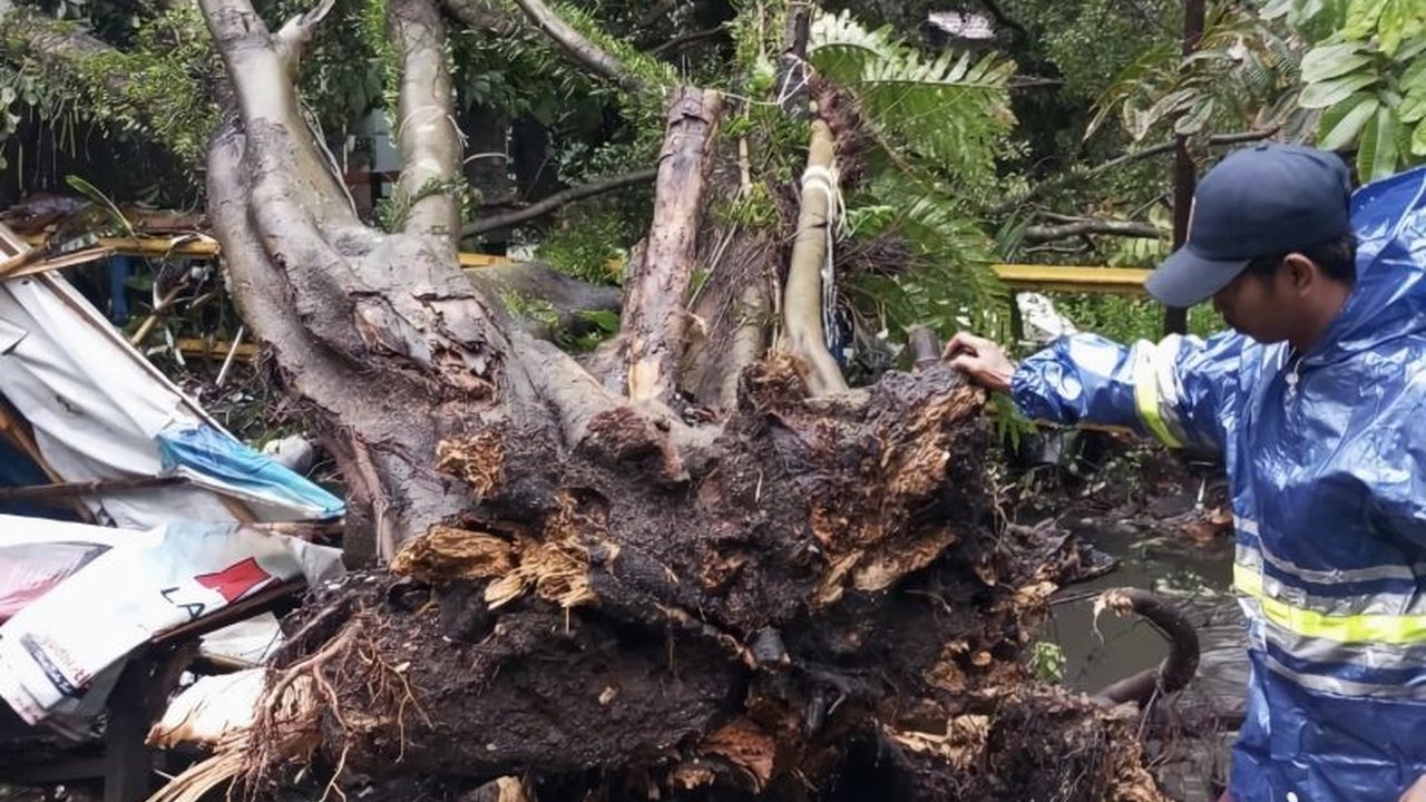 Hujan deras dan angin kencang di Bandung mengakibatkan empat titik bencana, termasuk pohon tumbang dan atap warung ambruk, namun Pemkot Bandung bergerak cepat menangani kejadian tersebut.
