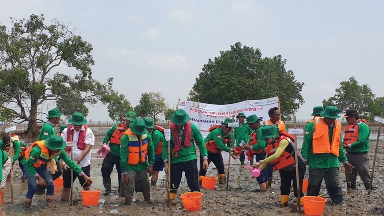 Kilang Pertamina Plaju di Palembang menerapkan berbagai inovasi ramah lingkungan untuk mengurangi dampak operasional terhadap lingkungan, termasuk efisiensi energi, pengurangan emisi, dan pengelolaan limbah.