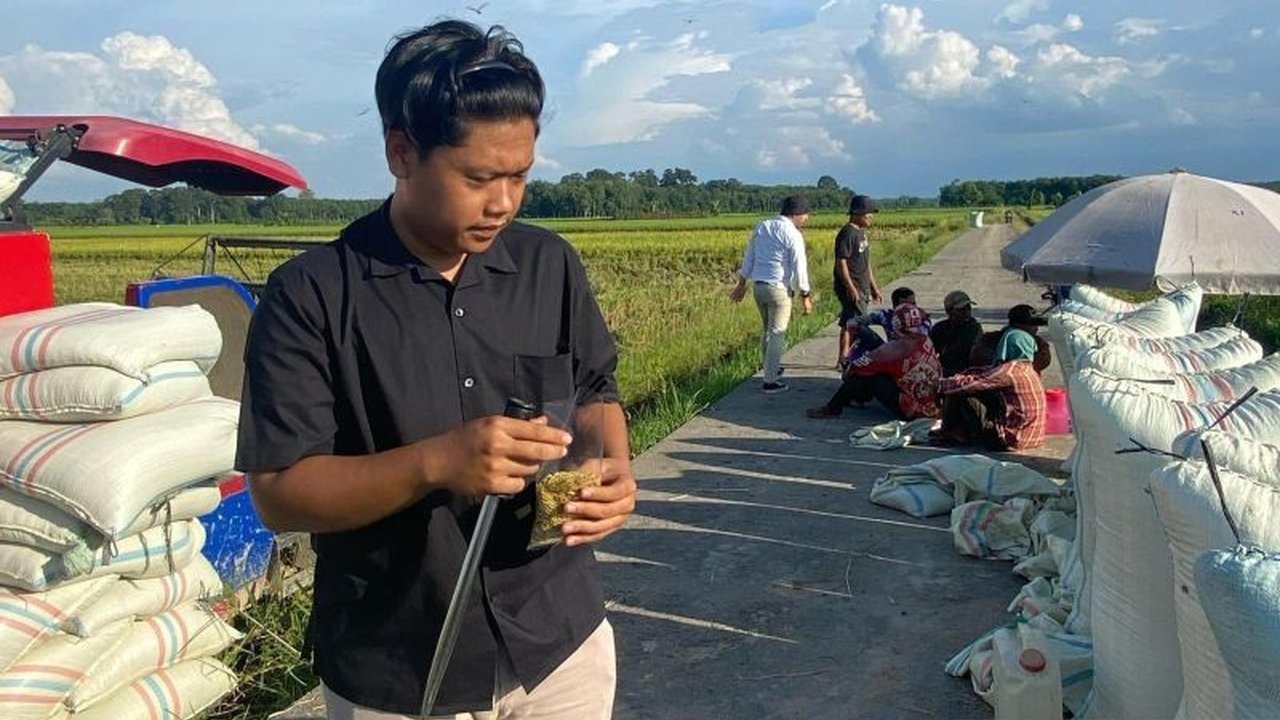 Bulog OKU Timur berhasil menyerap 1.300 ton gabah petani, dengan harga Rp6.500/kg untuk GKP dan Rp12.000/kg untuk beras, dalam upaya memenuhi kebutuhan pangan dan mencapai target 40 ribu ton pada tahun 2025.