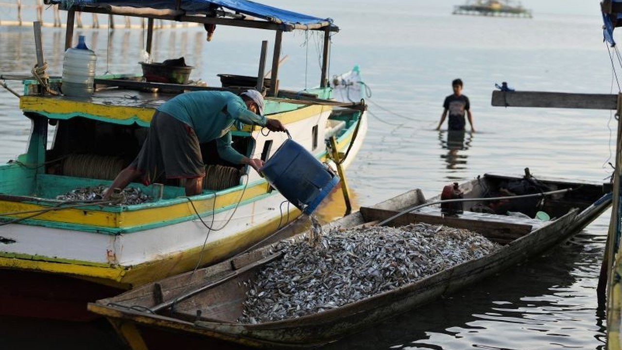 Pemkab Bombana optimis produksi perikanan tangkap akan mencapai 29 ribu ton pada tahun 2025, ditopang oleh bantuan 60 unit perahu viber bagi nelayan setempat.