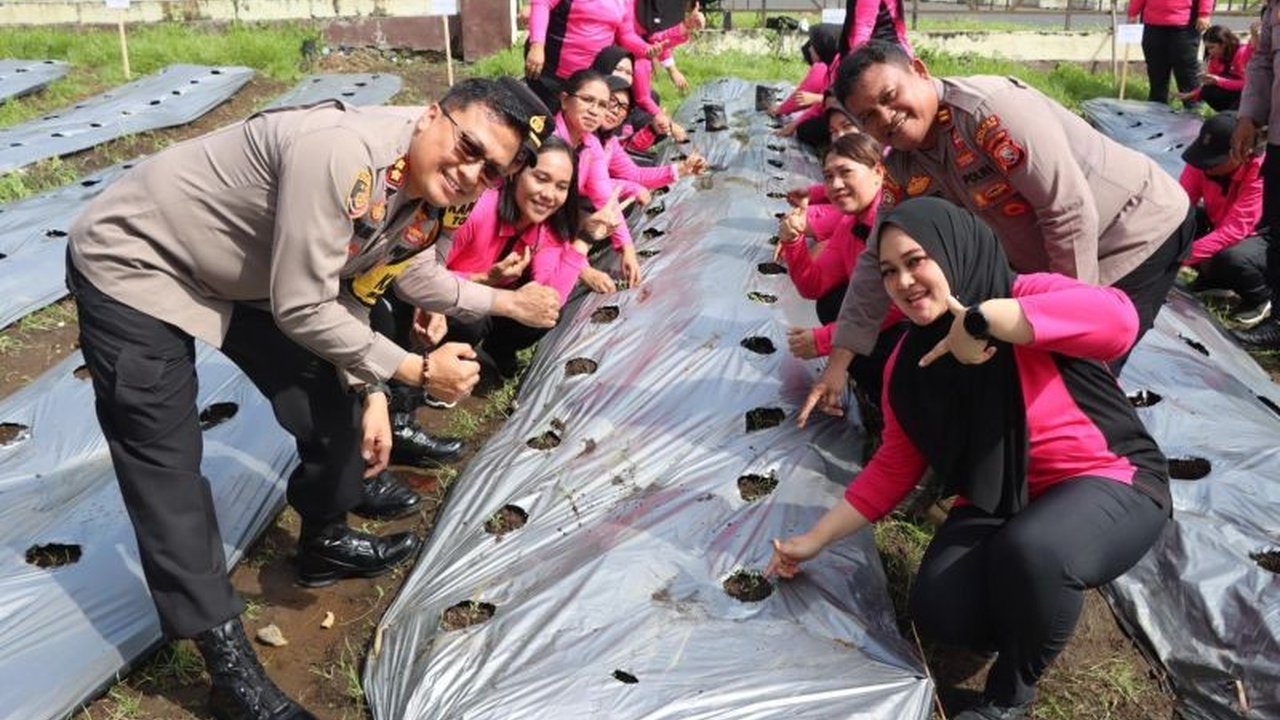 Pengurus Cabang Bhayangkari Halmahera Utara menanam bibit hortikultura untuk mendukung ketahanan pangan nasional melalui program Pekarangan Pangan Lestari, sekaligus menginspirasi masyarakat.