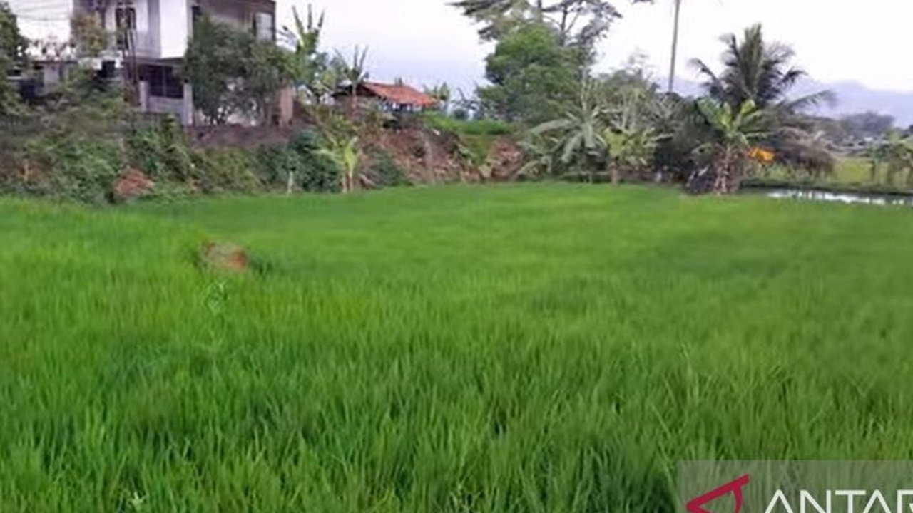 Teknologi Tepat Guna: Solusi Mendongkrak Produksi Pertanian Sukabumi