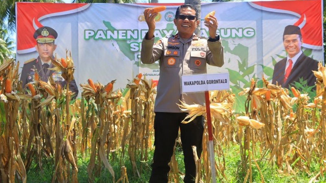 Wakapolda Gorontalo tekankan pentingnya sinergi antara Polri dan petani dalam upaya mencapai swasembada pangan nasional pada tahun 2025, ditandai dengan panen raya jagung di Kabupaten Gorontalo.