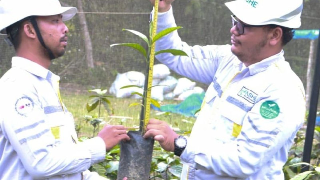 PLTA Batangtoru di Tapanuli Selatan, Sumut, tak hanya meningkatkan penggunaan energi bersih, tetapi juga memberdayakan ekonomi masyarakat sekitar melalui program-program pengembangan komunitas.