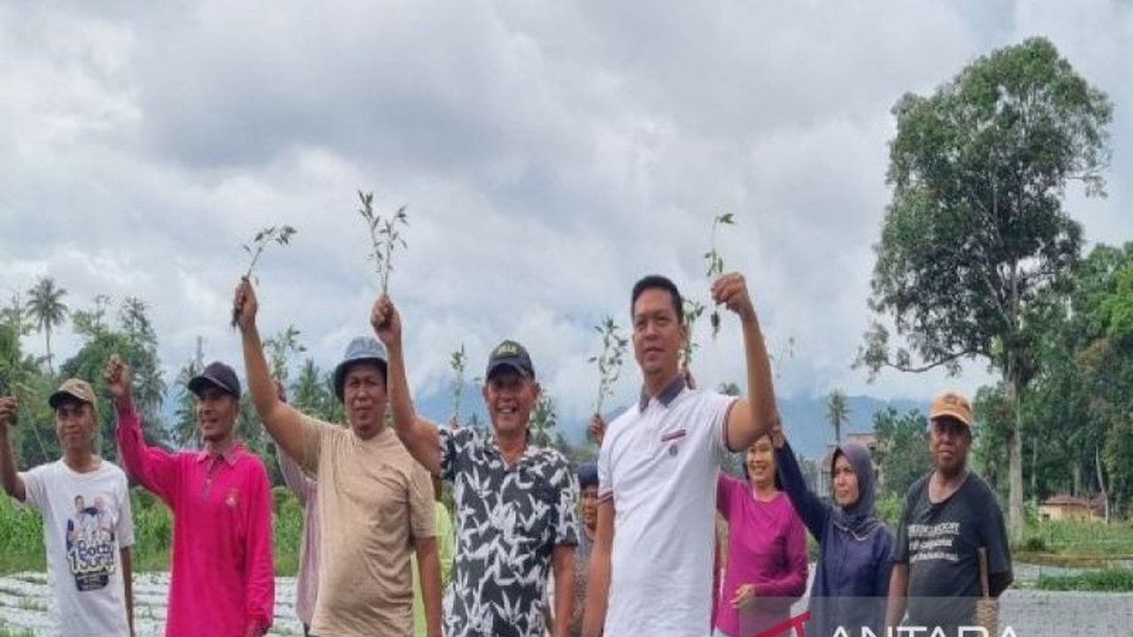 Pemkab Madina dan Kadin berkolaborasi memanfaatkan lahan tidur seluas empat hektare untuk menanam cabai dan jagung guna mendukung ketahanan pangan nasional, hasil panen diharapkan mampu memenuhi kebutuhan masyarakat Madina.