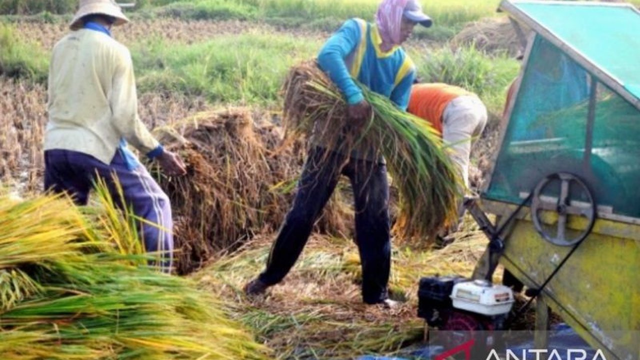Komisi II DPRD Karawang meminta Dinas Pertanian membantu petani agar hasil panen gabah mereka terserap Bulog, demi mencapai target 75 ribu ton dan kesejahteraan petani.