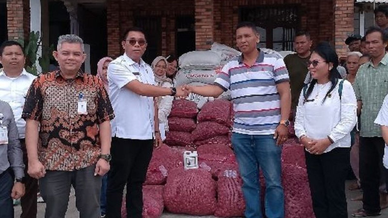 Dinas Ketahanan Pangan dan Pertanian Samosir intensifkan pendampingan petani bawang merah, hasil panen meningkat hingga 15 ton per hektare di tahun 2024, berkat bantuan bibit dan pupuk dari Bank Sumut.