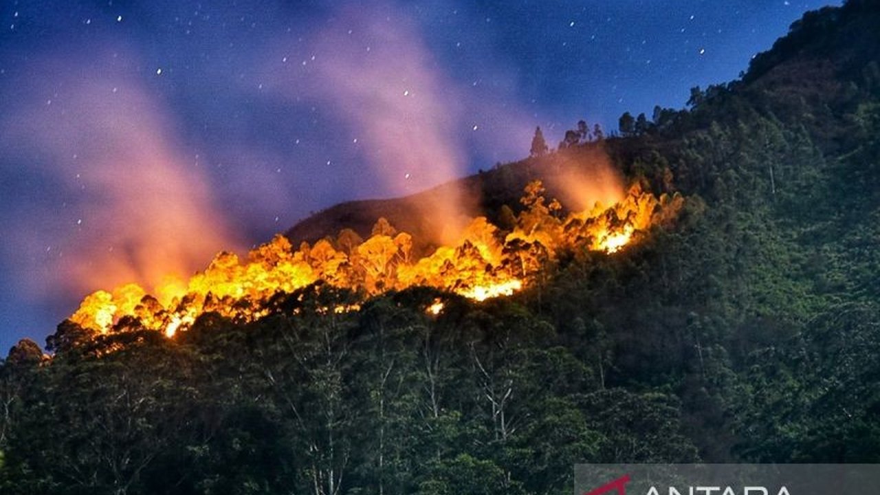 Kebakaran hutan skala besar di Ofunato, Jepang, telah menghanguskan 84 bangunan, memaksa evakuasi 2.000 warga, dan menyebabkan satu kematian; penyelidikan penyebab kebakaran masih berlangsung.