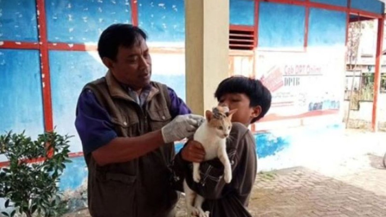 Pemerintah Kabupaten Rejang Lebong, Bengkulu, menyiapkan 5.000 dosis vaksin anti-rabies untuk mencegah penyebaran penyakit rabies pada hewan penular rabies (HPR) seperti anjing, kucing, dan kera.