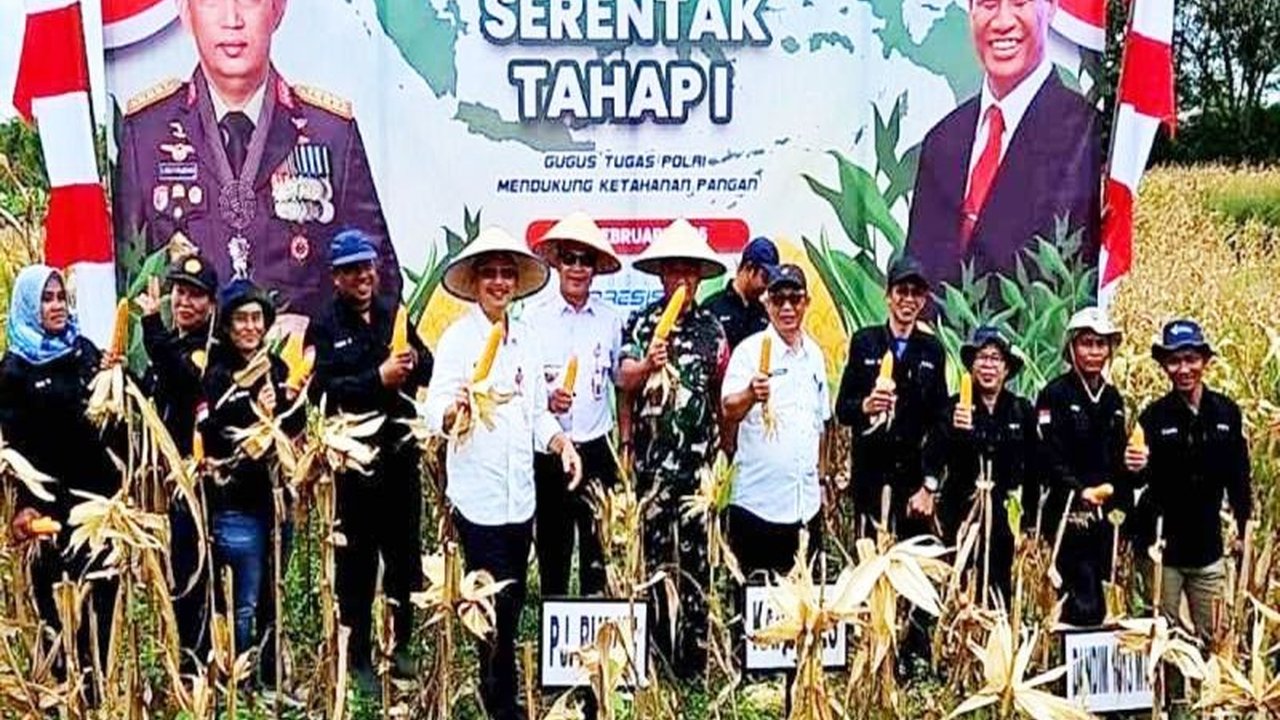 Pemkab Barito Utara, Kalimantan Tengah, panen jagung serentak tahap pertama di Desa Batu Raya I sebagai upaya nyata mendukung ketahanan pangan nasional dan program swasembada pangan 2025.