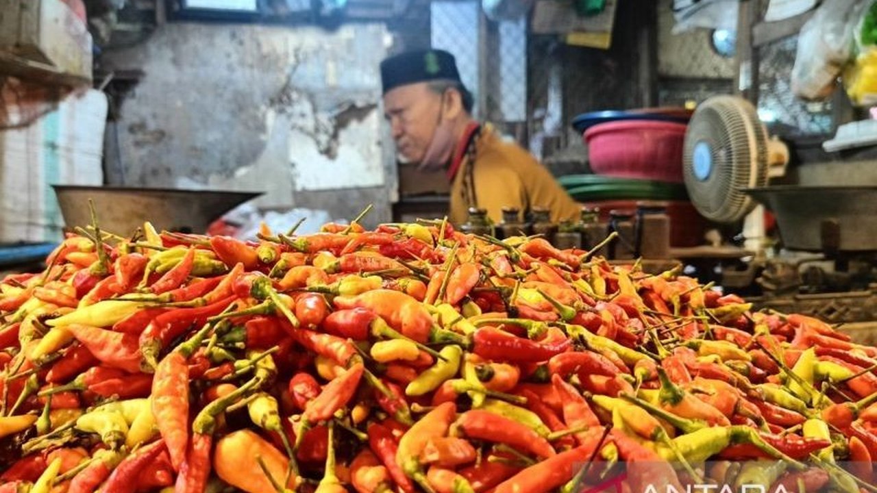 Harga Cabai di Samarinda Meroket Jelang Ramadhan, Capai Rp110.000 per Kg!