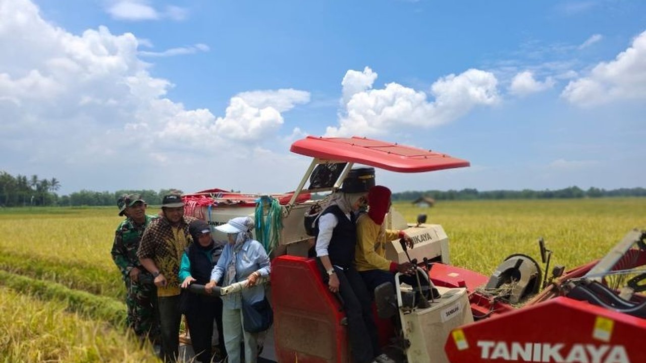 Bulog menyerap 100 ton beras dari petani Cikeusik, Pandeglang dengan harga menguntungkan, mendukung swasembada pangan dan kesejahteraan petani.