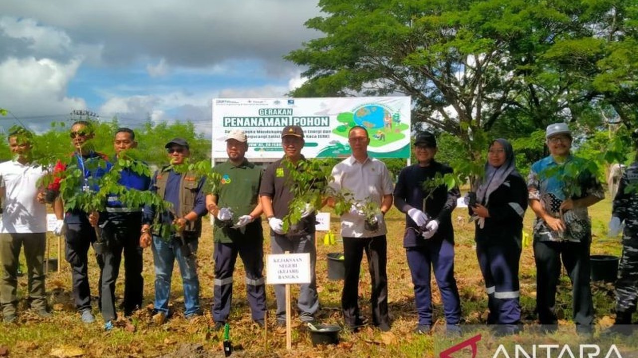 DLH Bangka sebut penanaman pohon, seperti penanaman 750 pohon angsana oleh PT Timah Tbk, sebagai langkah strategis dalam mempersiapkan swasembada energi di masa depan.