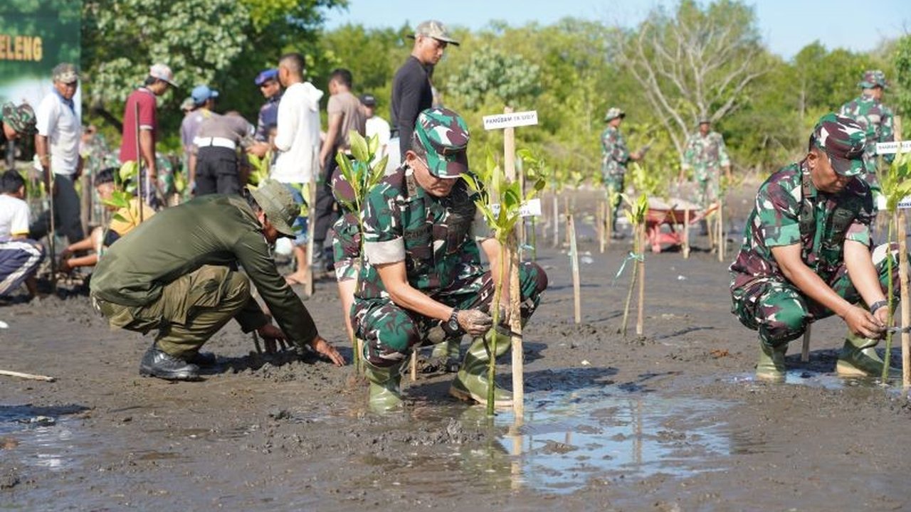 Kodam IX/Udayana menanam 9.200 pohon mangrove di Buleleng, Bali untuk menjaga ekosistem laut dan kebersihan pantai demi kenyamanan wisatawan serta peningkatan Pendapatan Asli Daerah (PAD).