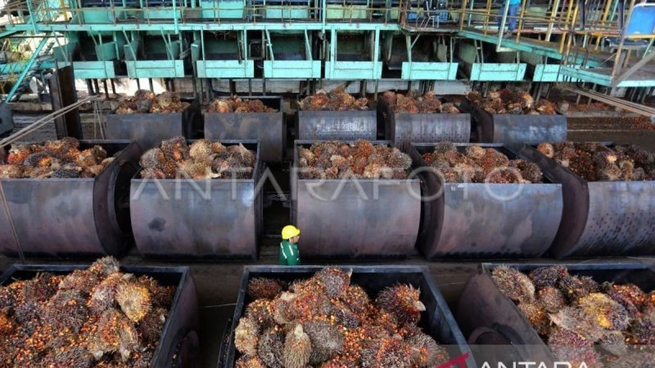 Kementerian Perdagangan (Kemendag) mengumumkan penurunan harga referensi CPO di bulan Maret 2025 menjadi 954,50 dolar AS per metrik ton, disebabkan oleh melemahnya permintaan dari India dan harga minyak nabati lainnya.
