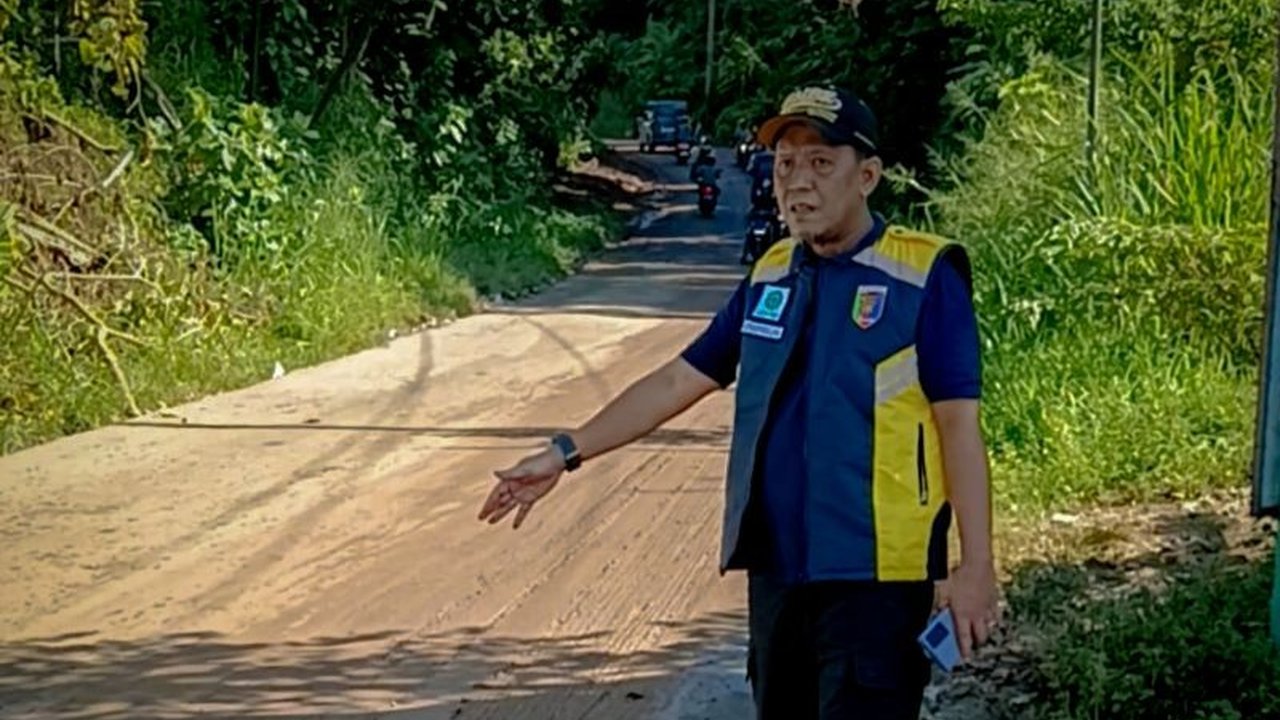 BMBK Lampung Tangani Longsor di Jalur Wisata Pesawaran, Akses Jalan Kembali Normal