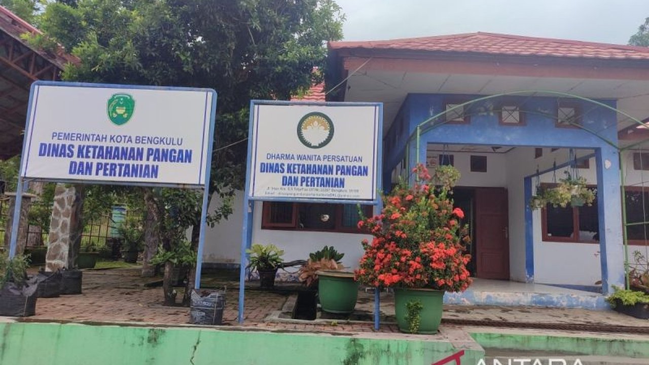 Pemerintah Kota Bengkulu melakukan pengawasan ketat terhadap distribusi daging di pasar selama Ramadhan untuk memastikan keamanan, kesehatan, dan kehalalan produk bagi masyarakat.