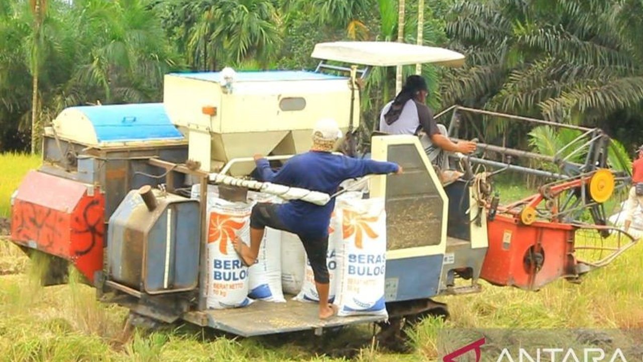 Bulog Kuala Tungkal berkomitmen menyerap gabah petani di Tanjabbar dan Tanjabtim sesuai HPP Rp6.500/kg, meningkatkan kesejahteraan petani dan ketahanan pangan nasional.