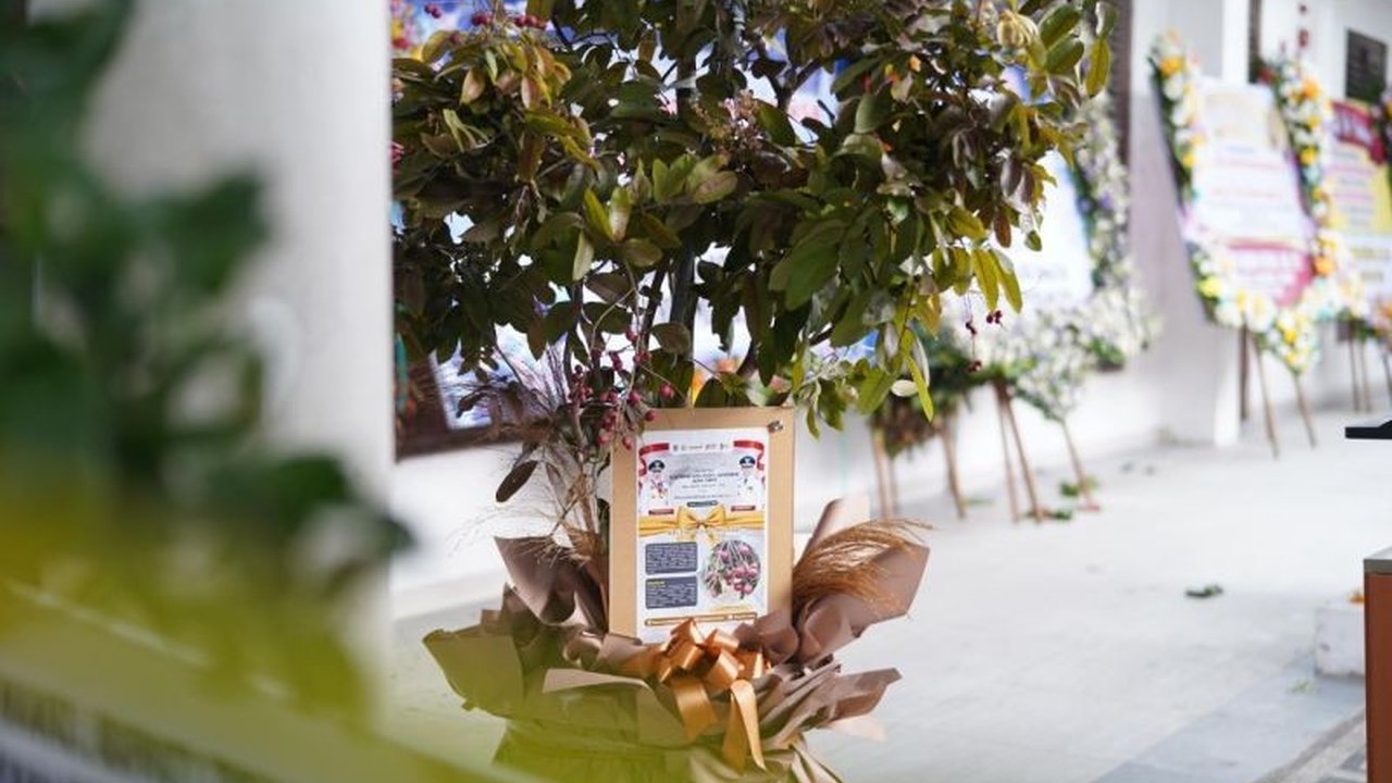 Gubernur Jawa Timur, Khofifah Indar Parawansa, menerima bibit klengkeng merah sebagai hadiah unik di hari pertama kembali bertugas, simbol komitmen pada pembangunan berkelanjutan di Jawa Timur.