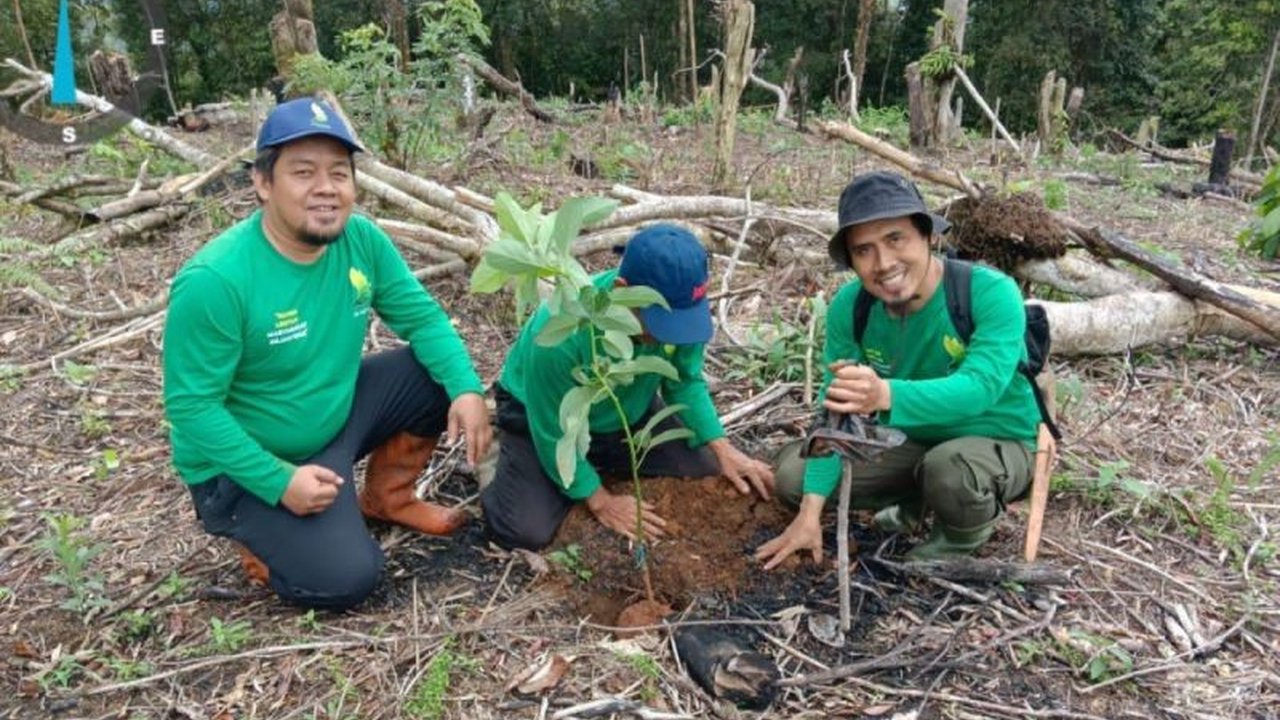 KPHL Bukit Daun Kepahiang, Bengkulu, melakukan penghijauan dengan menanam 4.000 pohon untuk mencegah kerusakan lahan kritis dan meningkatkan ekonomi masyarakat sekitar.