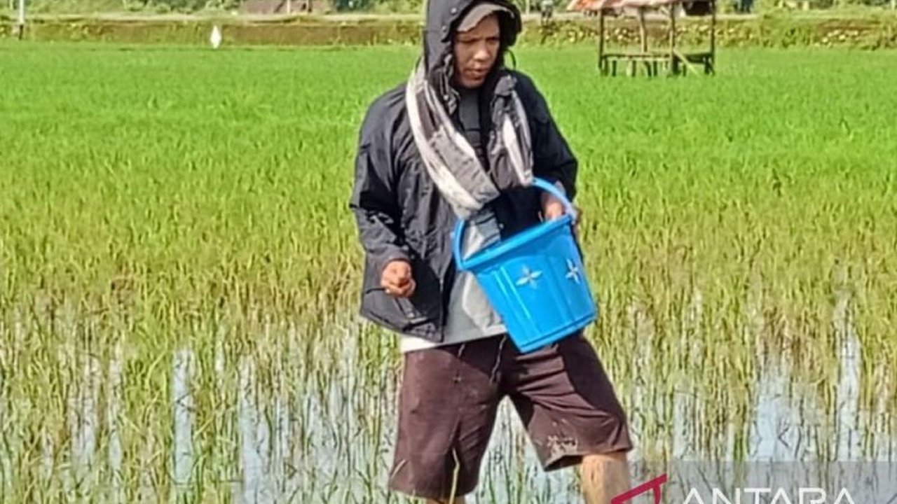 PT Pupuk Indonesia berkolaborasi dengan DTPHB Sulsel dalam mendigitalisasi distribusi pupuk, alsintan, dan benih untuk mencapai swasembada pangan di Sulawesi Selatan.