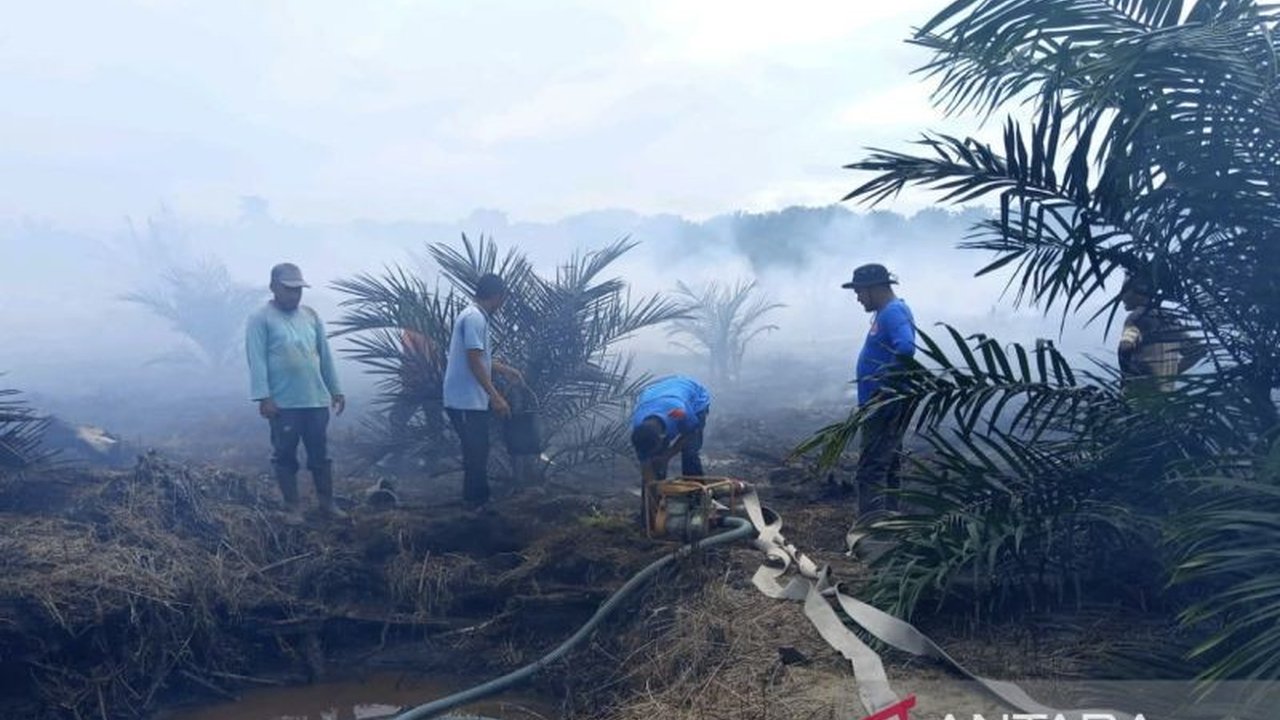 BPBD Aceh Barat Imbau Warga Waspada Karhutla, 22 Titik Rawan Teridentifikasi