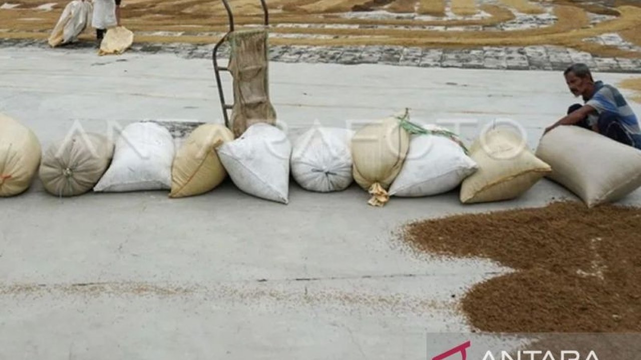 Bulog Sulselbar optimis mampu menyerap 579.938 ton setara beras pada tahun ini untuk memenuhi kebutuhan pangan, meskipun terjadi bencana alam di beberapa wilayah.