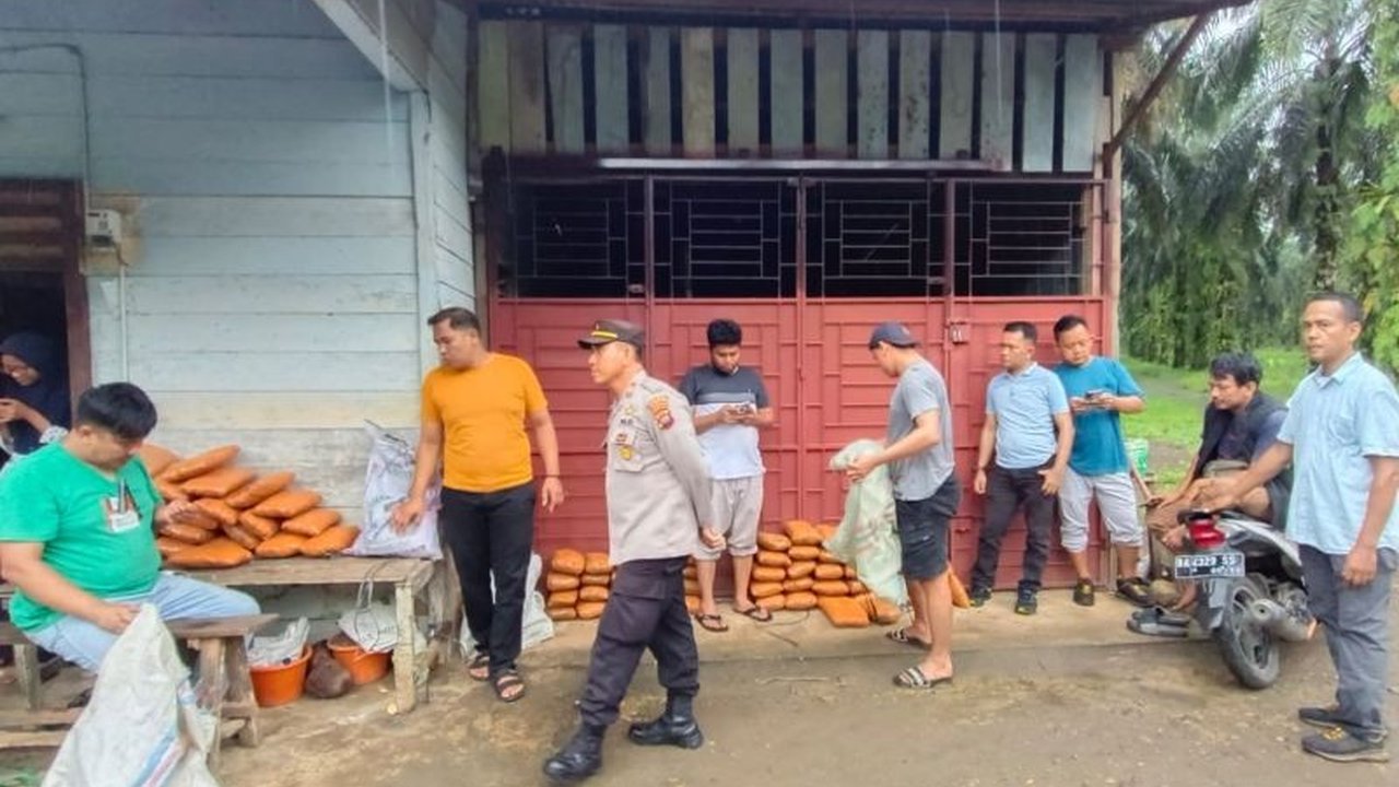 Ditresnarkoba Polda Sumbar dan Polsek Kinali menangkap pengedar ganja dengan barang bukti 82 paket ganja kering di Pasaman Barat, Sumatera Barat.