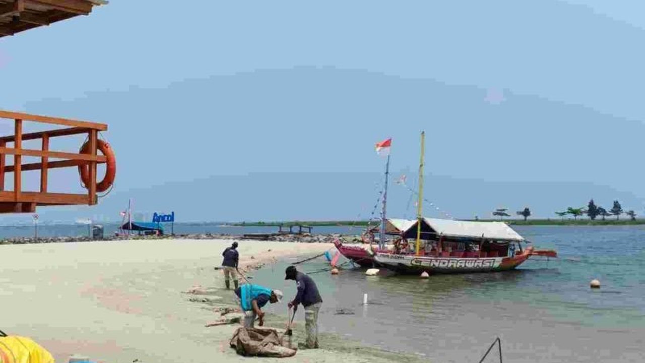 Ancol berupaya mengatasi kiriman sampah laut dengan mengerahkan 30 petugas kebersihan dan mengajak pengunjung untuk turut menjaga kebersihan pantai.